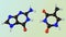 Adenine molecule pairs with thymine molecule