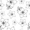 Adenium flower seamless pattern. Black outline drawing with white fill on a white background. Vector illustration.