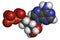 Adenosine diphosphate (ADP) molecule. Plays essential role in energy use and storage in the cell. Atoms are represented as spheres