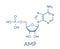 Adenosine monophosphate AMP, adenylic acid molecule. Nucleotide monomer of RNA. Composed of phosphate, ribose and adenine.