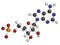 Adenosine monophosphate (AMP, adenylic acid) molecule. Nucleotide monomer of RNA. Composed of phosphate, ribose and adenine