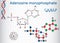 Adenosine monophosphate AMP molecule, it is an ester of phosph