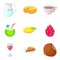 Adequate food icons set, cartoon style