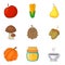 Adequate nutrition icons set, cartoon style