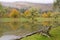 Adirondack Chair on Catskills Pond