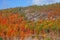 Adirondack Fall Foliage, Autumn, New York