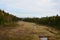 Adirondack marshland meadow view