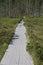 Adirondack Park, New York, USA: The Ferdâ€™s Bog Trail in the Pigeon Lake Wilderness