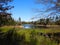 Adirondack wetland marsh near Stillwater Reservoir