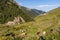 Adishi - Panoramic view on Adishi, a mountain village, located in high Caucasus mountain chains