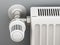 Adjustable radiator thermostat. 3D illustration