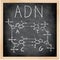 ADN - DNA in Spanish, French and Portuguese.