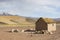 Adobe house on Bolivian Altiplano with Andean mountain, Bolivia