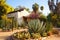 adobe house in southwestern style with cacti in front garden