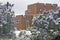 Adobe in snow in Santa Fe, NM