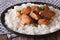 Adobo Chicken with a side dish of rice close-up. horizontal