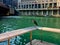 An adolescent Black-Crowned Night-Heron, endangered species, is perched on ledge of wooden pier while visiting the Chicago River d