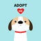 Adopt me. Dog face head. Red collar. White puppy pooch. Cute cartoon kawaii funny baby character. Flat design style. Help homeless