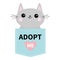 Adopt me. Dont buy. Cat in blue pocket. Pet adoption. Kitten kitty. Pink heart. Flat design. Help homeless animal concept. White b