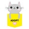 Adopt me. Dont buy. Cat in yellow pocket. Pet adoption. Kitten kitty. Pink heart. Flat design. Help homeless animal concept. White