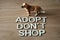 Adopt a pet don`t shop