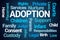 Adoption Word Cloud
