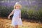 Adorable 4 year old girl in white dress and straw hat walking through rows of lavender near Valensole, France