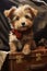 Adorable Adventures: A Small Dog\\\'s Journey with Treasured Compan