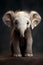 Adorable african baby elephant with big ears