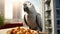 Adorable African gray parrot shares a sunny apartment, bringing life to the urban setting