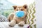 Adorable Akita Inu puppy in medical mask. Virus protection for animal