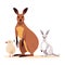 Adorable Australian Kangaroo - Wildlife Photography in Natural, Generative Ai
