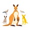 Adorable Australian Kangaroo - Wildlife Photography in Natural, Generative Ai