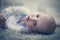 Adorable baby boy lying on carpet. Close up.