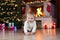 Adorable baby crawling on the floor in the decorated Christmas room