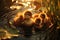 Adorable baby ducklings swimming gracefully in a serene lake, basking in the golden sunlight