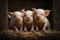 Adorable baby pigs in a trio. AI