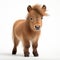 Adorable Baby Pony: A National Geographic Style Photo