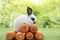Adorable baby rabbit bunny sitting with front orange pile fresh carrot on green grass on bokeh nature background. Furry hare white