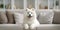 Adorable baby Samoyed white dog sit on sofa generative AI