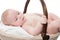 Adorable bare newborn child in basket