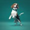 Adorable Beagle on Green Background