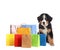 Adorable Bernese Mountain Dog puppy and colorful paper shopping bags on white background