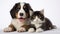 Adorable Bernese Mountain Dog puppy and gray tabby cat on white background. AI Generative
