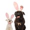 Adorable bichon and boxer puppy dogs wearing bunny ears