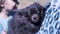 Adorable black German spitz dog enjoying petting owner woman hands. Clip. Close up of a puppy keeping warm in female