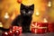 adorable black kitten with Christmas gift boxes and bokeh background