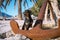 Adorable black and tan dachshund standing on big old and rusty anchor, setting on a tropical beach. Outdoors, palm trees, blue sea