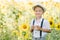 Adorable blond toddler boy funny eating bagel and drinking milk on summer sunflower field outdoors