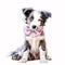 Adorable Border Collie Puppy Wears Pastel Headband Bandana and Glasses AI Generated